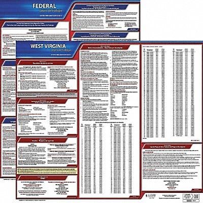 Labor Law Poster Fed/STA WV SP 20inH 3yr