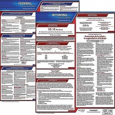 Labor Law Poster Fed/STA WY SP 20inH 3yr