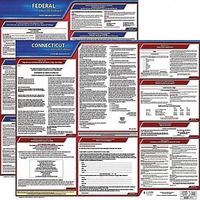 Labor Law Poster Fed/STA CT SP 20inH 1yr