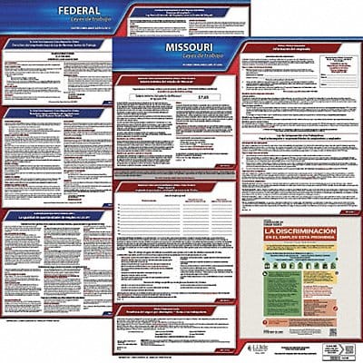 Labor Law Poster Fed/STA MO SP 20inH 1yr