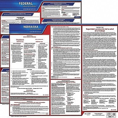 Labor Law Poster Fed/STA NE SP 20inH 1yr