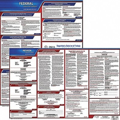 Labor Law Poster Fed/STA NV SP 20inH 1yr