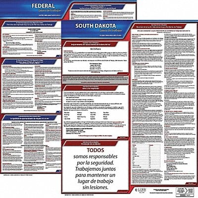 Labor Law Poster Fed/STA SD SP 20inH 1yr