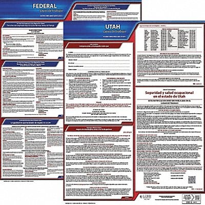 Labor Law Poster Fed/STA UT SP 20inH 1yr