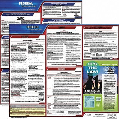 LaborLaw Poster Fed/STA OR ENG 20inH 3yr