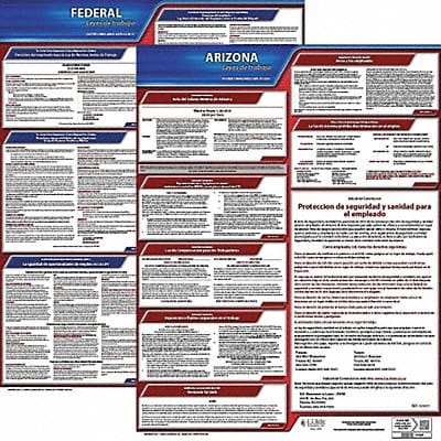 Labor Law Poster Fed/STA AZ SP 20inH 3yr