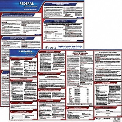 Labor Law Poster Fed/STA CA SP 20inH 3yr