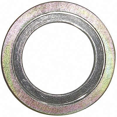 Spiral Wound Metal Gasket 2 in 11/64 in