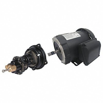 Rotary Pump 125psi Cst Irn 1-1/2HP