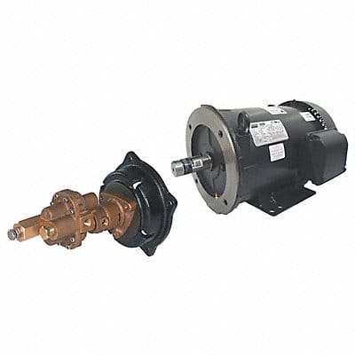 Rotary Pump Close 125psi Bronze 3HP