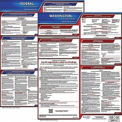 Labor Law Poster Fed/STA WA SP 20inH 1yr