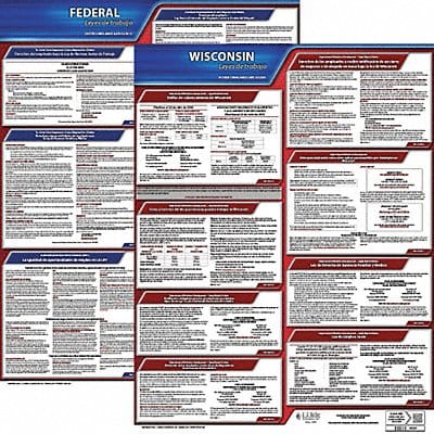 Labor Law Poster Fed/STA WI SP 20inH 1yr