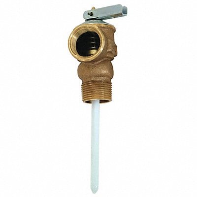 Temperature and Pressure Relief Valve