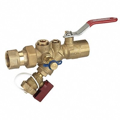 Combination Strainer Valve 1/2 In FNPT