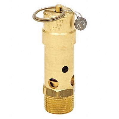 Air Safety Valve 3/4 Inlet 50 psi