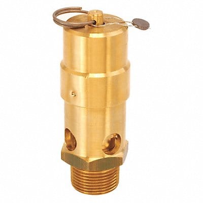 Air Safety Valve 1 Inlet 175 psi