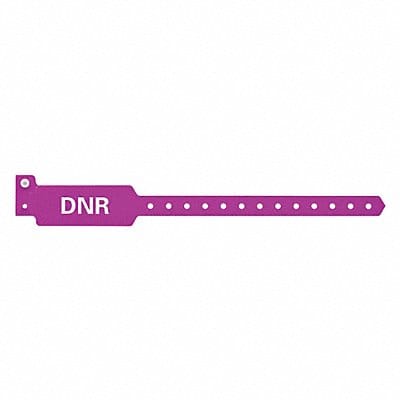 ID Wristband 10-1/4 in L DNR PK500