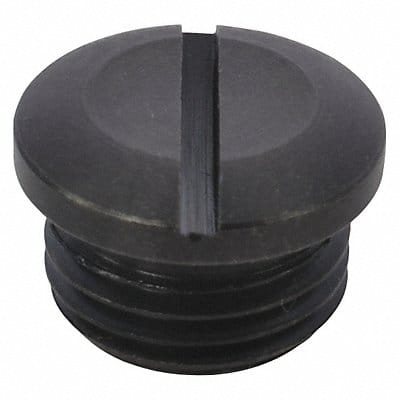 Valve Cap Speedaire