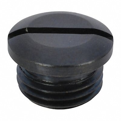 Valve Cap Speedaire