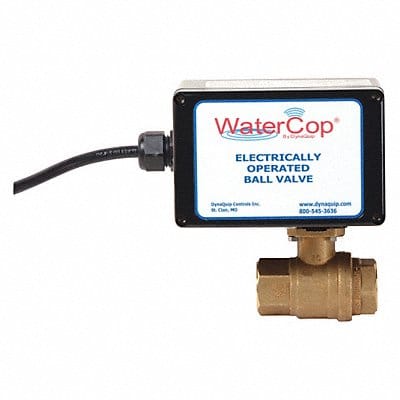 Ball Valve Electronic 3/4 In FNPT