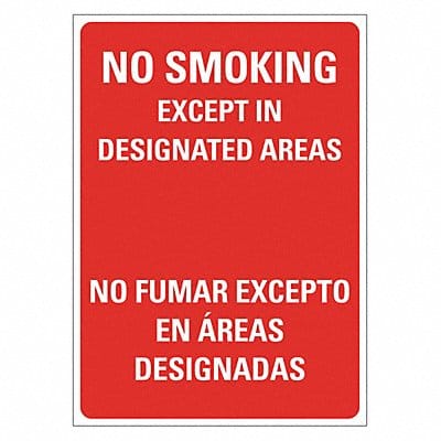 No Smoking Sign 14 inx10 in Plastic