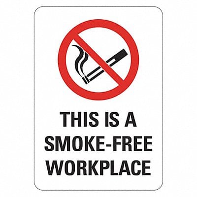 No Smoking Sign 14 in x 10 in Plastic