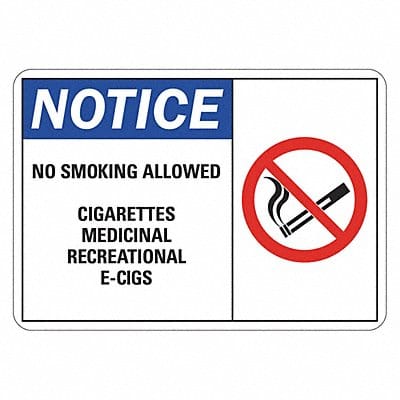 No Smoking Sign 10 inx7 in Plastic