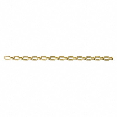 Chain Plumber Flat 100 ft 23 lb.