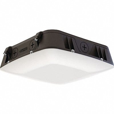 Canopy Light LED 4000K 6600 lm 52W