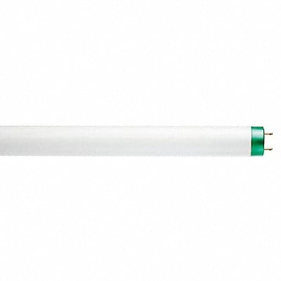 Fluorescent 17 W T8 Medium Bi-Pin (G13)