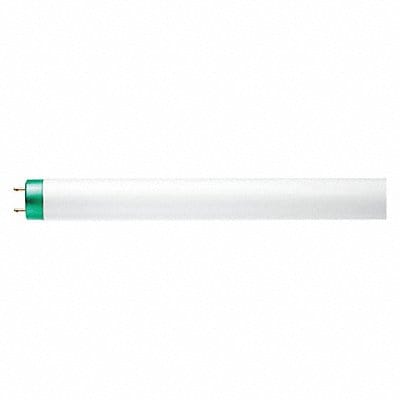 Fluorescent 17 W T8 Medium Bi-Pin (G13)