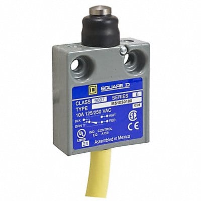 Limit Switch 240Vac 10Amp Ms +Options