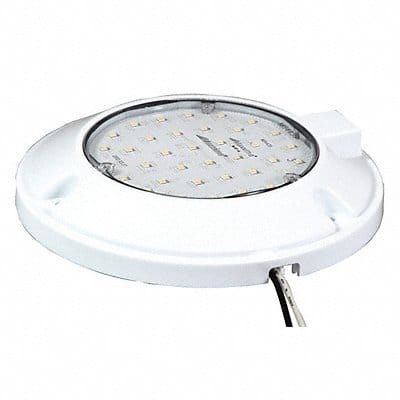 Dome Light Round Clear