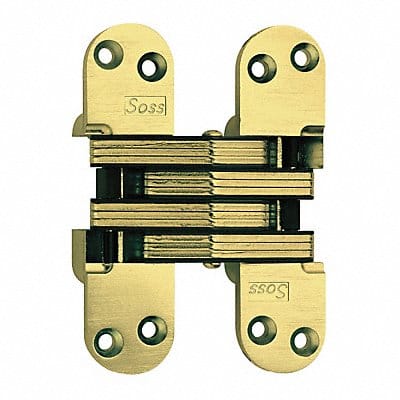 Hinge Invisible Satin Brass 5 1/2 In