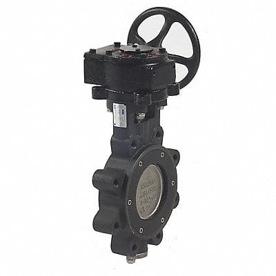 Butterfly Valve Lug 8 in Carbon Steel