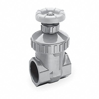 Gate Valve 1-1/4 in FNPT