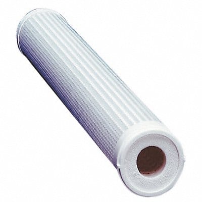 Filter Cartridge 0.2 micron 10 gpm 10 H