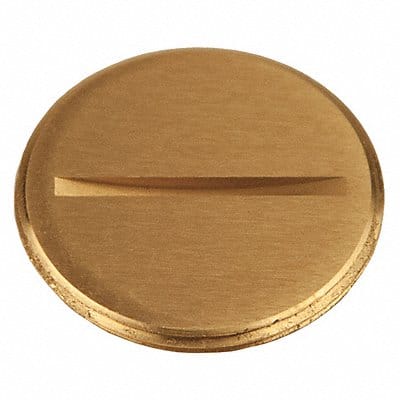 Flush Replacement Plug 1-1/2 L Brass