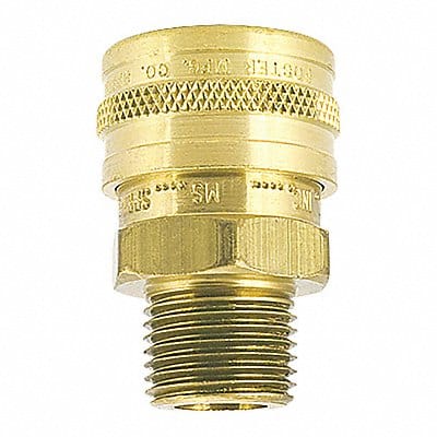 Straight-thru Brass Socket 1/8 MPT