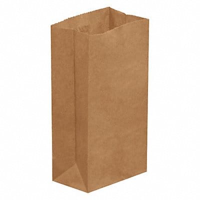 Grocery Bag Standard Paper Open PK500