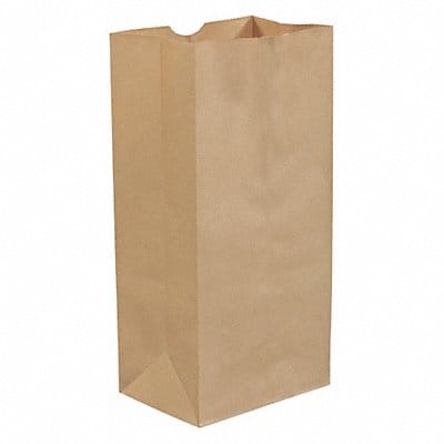 Grocery Bag Standard Paper Open PK500