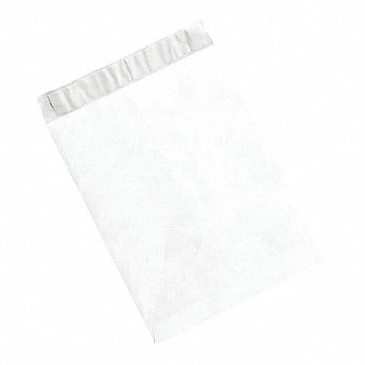 Flat Envelopes 6x9 PK100