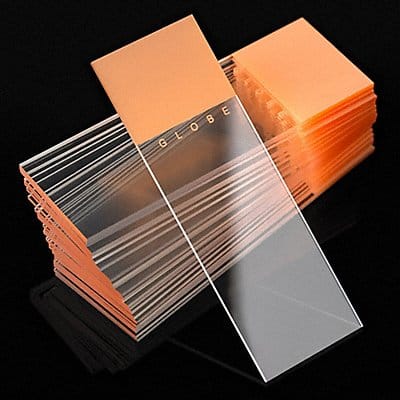 Microscope Slide Orange PK1440