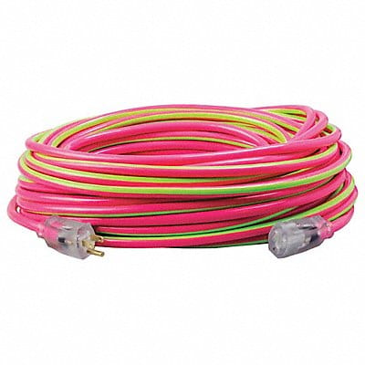 Extension Cord 12 AWG 125VAC 100 ft L