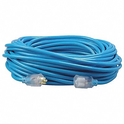 Extension Cord 12 AWG 125VAC 100 ft L