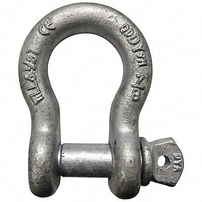 Anchor Shackle Screw Pin 7/8 Body Size