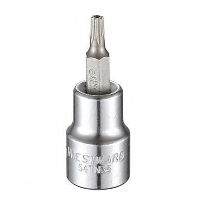 Socket Bit Steel 3/8 in TpSz T20