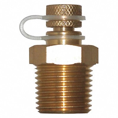 Pressure Test Plug Brass 1/2 in NPT