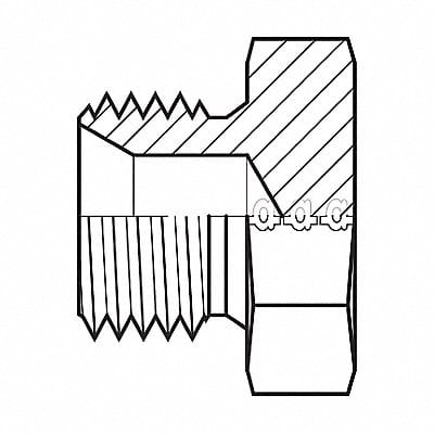 Hose Adapter 1/8 BSPP