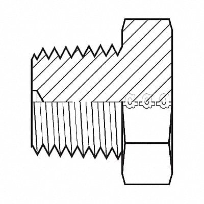 Hose Adapter 1/4 BSPT